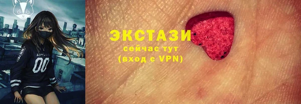 СК Богородицк