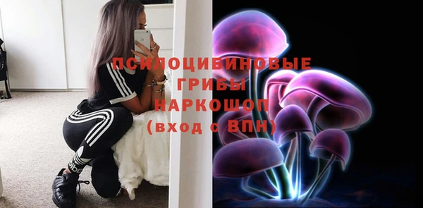 скорость Бородино