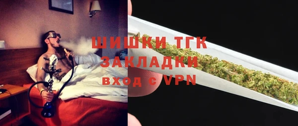 СК Богородск
