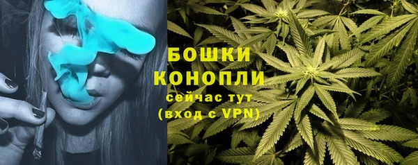 Альфа ПВП Богданович