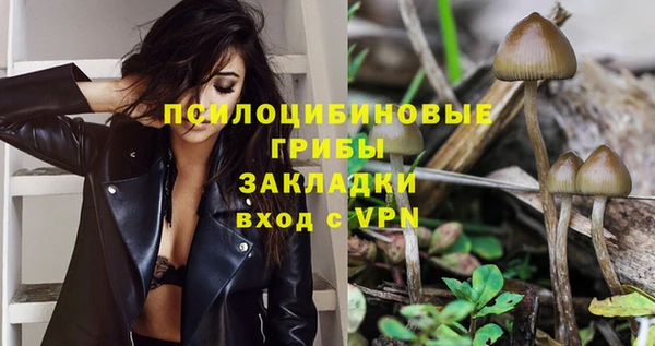 скорость Бородино