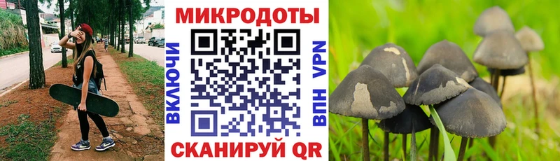 купить наркотики цена  Кимовск  Псилоцибиновые грибы мухоморы 